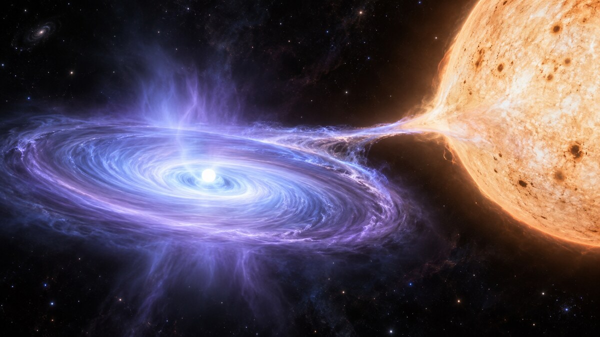 Ricostruzione editoriale di una stella compatta che accresce materia da una compagna