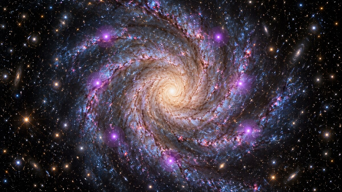 Ricostruzione editoriale della galassia M101 con sette sorgenti X ipermorbide evidenziate in viola
