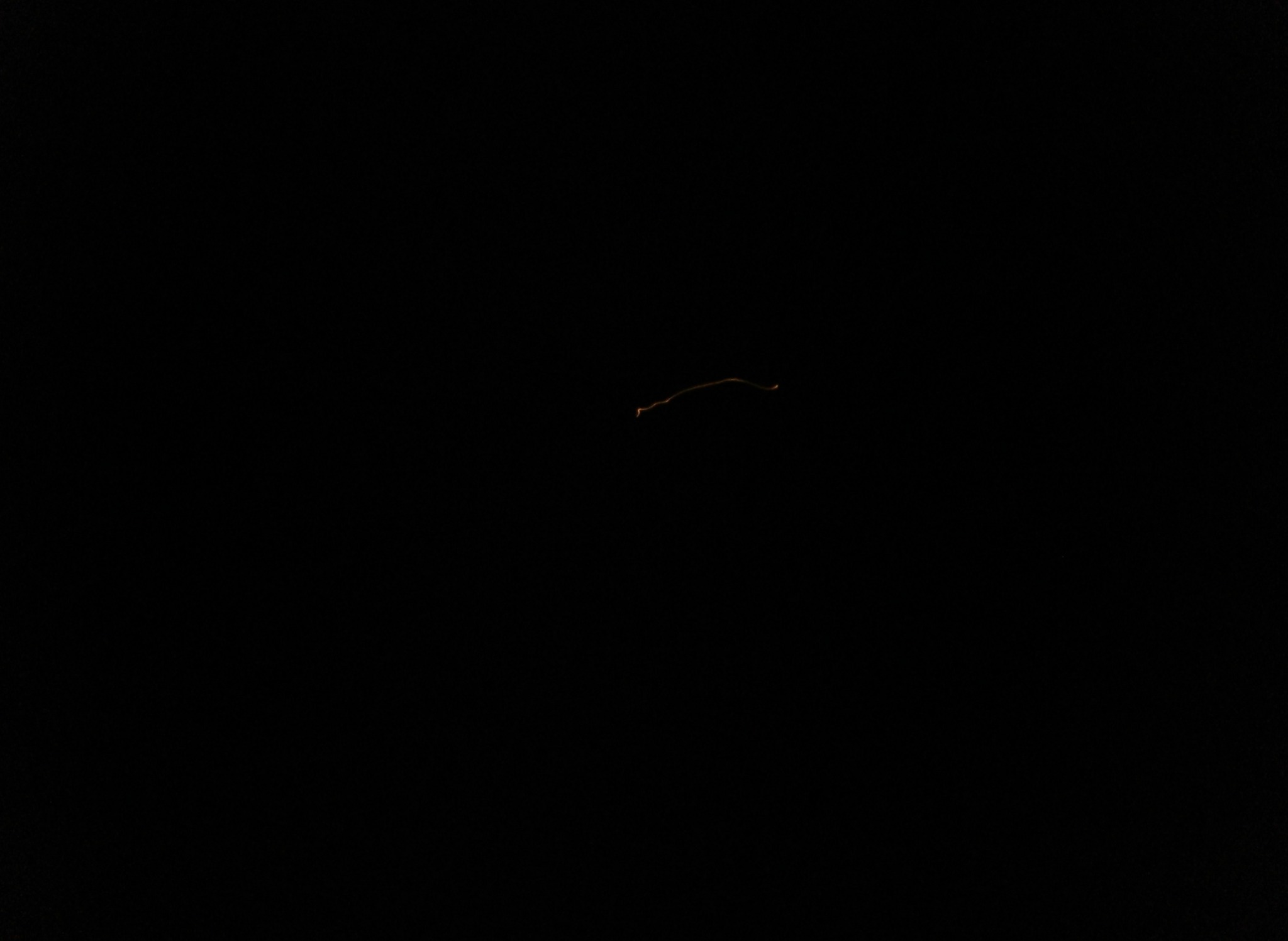 Quarta fotografia della sequenza Olympus